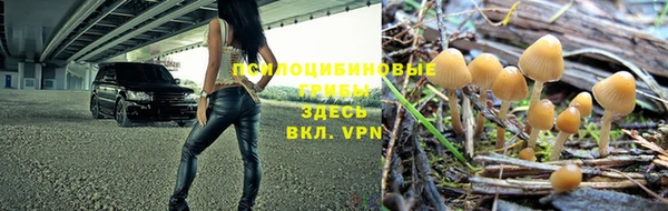 ALPHA PVP Балахна